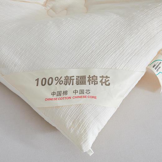 【品牌直发】加倍生活 A类针织提花新疆棉花被 真棉花、带检测口 春秋被/冬被/加厚冬被 1.5m/2.0m/2.2m被芯 商品图5