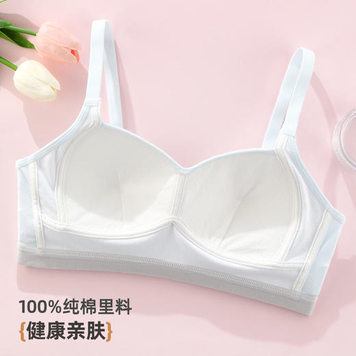 雅黛俪少女文胸高中生三阶段青春发育期女童内衣 商品图2