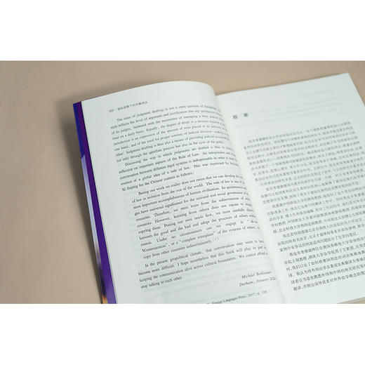 国际视野下的刑事判决 [德]迈克尔·布兰德 岳礼玲 郭烁主编 法律出版社 商品图6