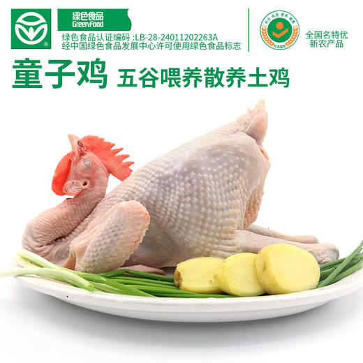 【A级绿色食品认证】皋尧 大别山童子鸡（麻黄鸡）3只装（单只净重1.3斤及以上，赠鸡胗） 商品图3