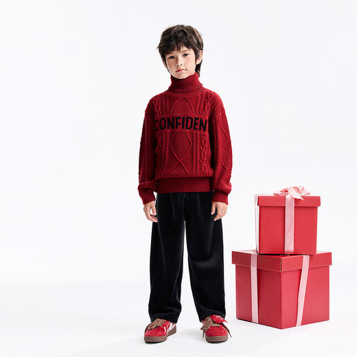 男童高翻领长袖针织衫冬季新款安奈儿童装EB544649 商品图3