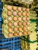 【HGSM】鸡蛋 商品缩略图0