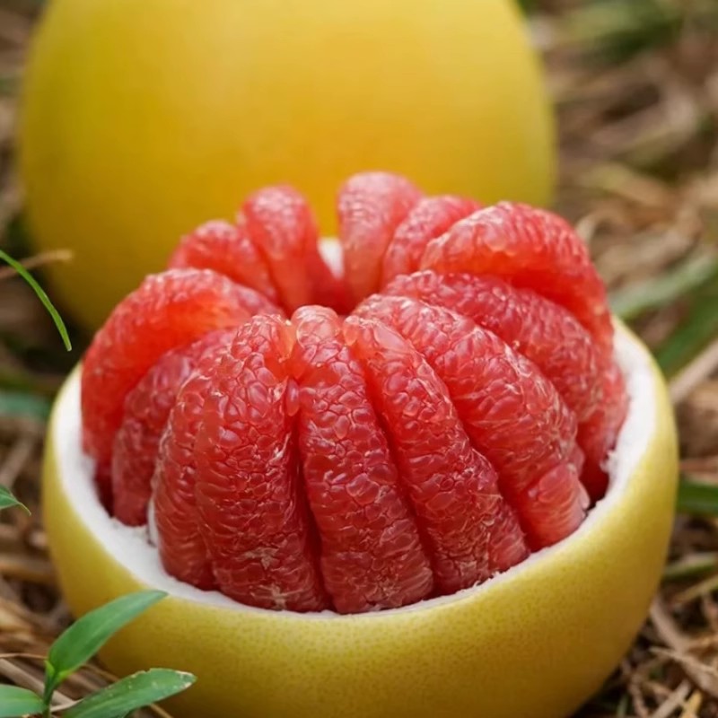 福建平和红肉蜜柚 爆汁甜瓤 薄皮易剥