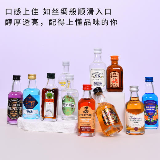 菲利佰加·白兰地威士忌伏特加网红洋酒小酒版6支组合套装 商品图3