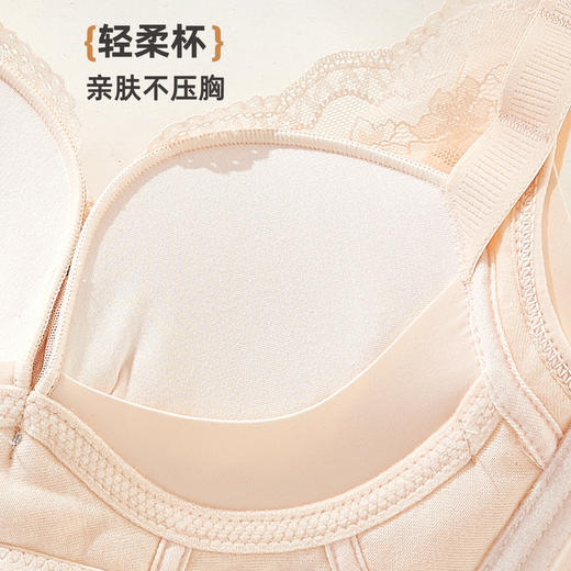 雅黛俪女士文胸小胸聚拢显大性感蕾丝内衣 商品图6
