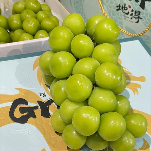 地得晴王【件】 商品图1