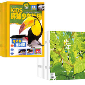 【组合订阅】《少年新知》+《环球少年地理》（2025年10月-2026年9月）年刊