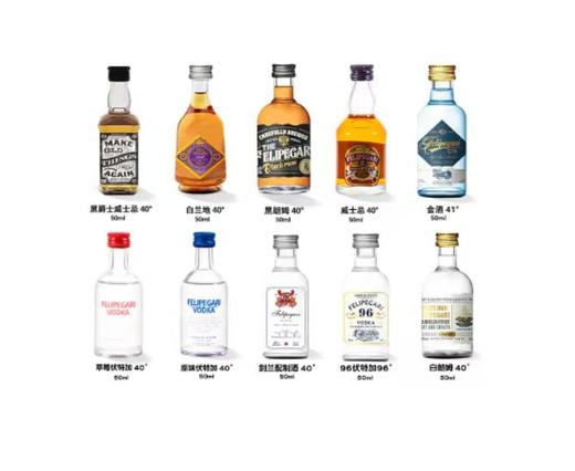 菲利佰加·白兰地威士忌伏特加网红洋酒小酒版10支组合套装 商品图0