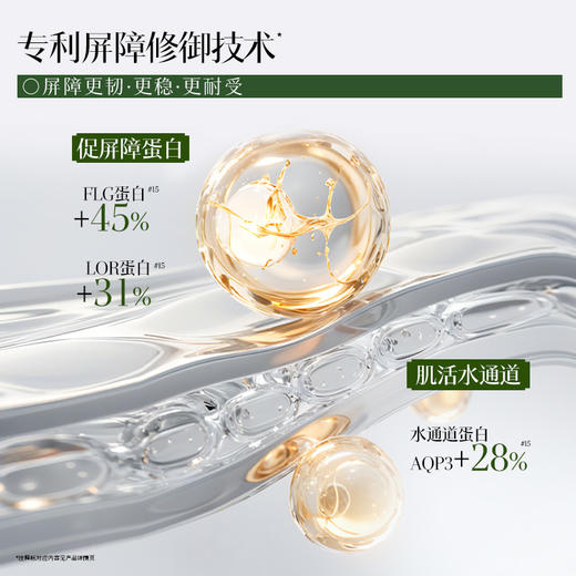 【新品·仙草乳】佰草集修源五行淡纹修护乳液 抗皱紧致保湿精华乳 商品图4