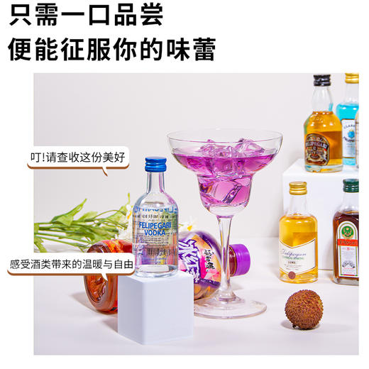 菲利佰加·白兰地威士忌伏特加网红洋酒小酒版10支组合套装 商品图3