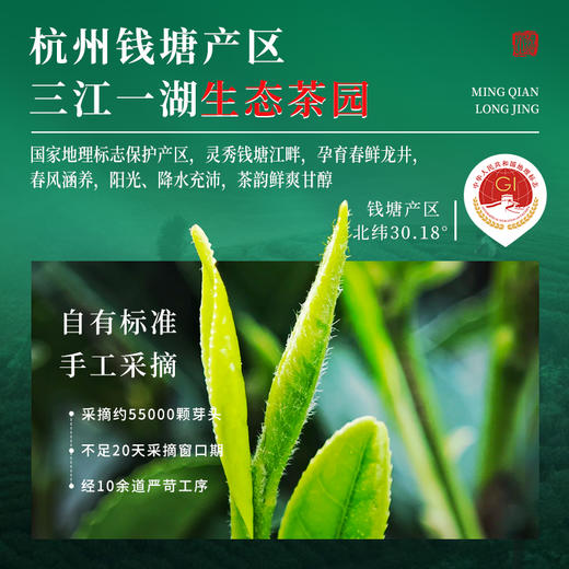 【2025新茶】茶马世家雅境特级龙井双瓷罐礼盒装200g 商品图1