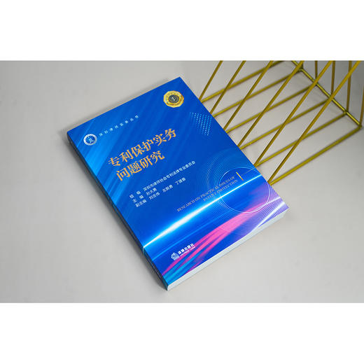专利保护实务问题研究 孙大勇主编 刘志伟 左殿勇 丁建春副主编 法律出版社 商品图3