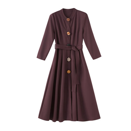 「高货wl」全新升级【铂金会员404/天猫539/差价135】(92307)洛诗琳复古老钱风连衣裙2025秋季立体扣收腰系带大摆裙 商品图4