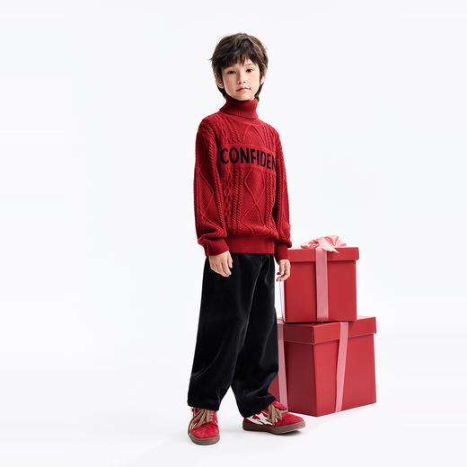 男童高翻领长袖针织衫冬季新款安奈儿童装EB544649 商品图5