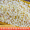 【食品】五谷杂粮高粱米养生粗粮白高粱500克 商品缩略图0
