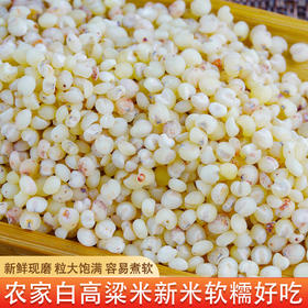 【食品】五谷杂粮高粱米养生粗粮白高粱500克