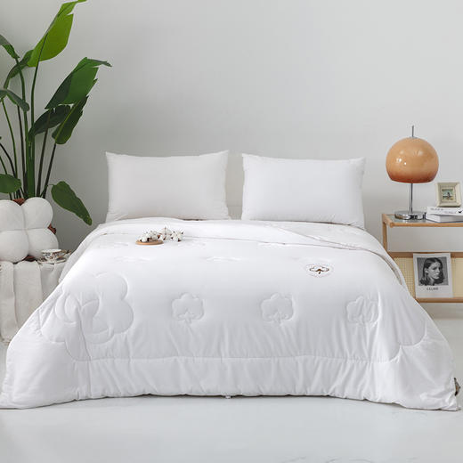 多喜爱 朗旭舒爽棉花被/冬被【里外全棉】【脱脂工艺】【8道除杂】【精美提花】【加厚磨绒】【A类标准】100%全棉新疆棉花被 商品图0