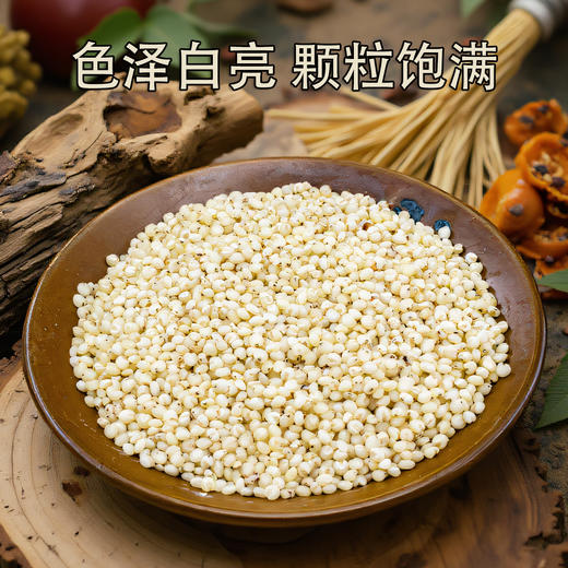 【食品】五谷杂粮高粱米养生粗粮白高粱500克 商品图4