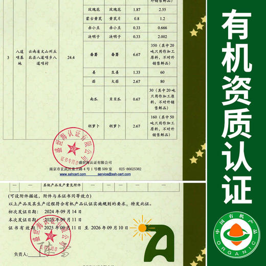 【厂商直发】云南文山有机新鲜小黄姜3斤/5斤装去泥姜香浓郁包邮 商品图1