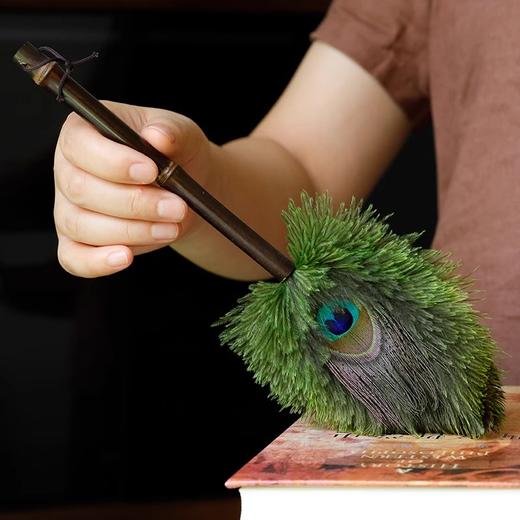 孔雀鸵鸟掸子家用家具摆件除尘掸防静电不掉毛胡桃木手柄清洁扫灰神器 商品图1