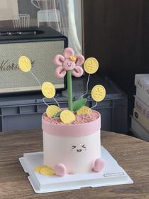 有钱花蛋糕 加高