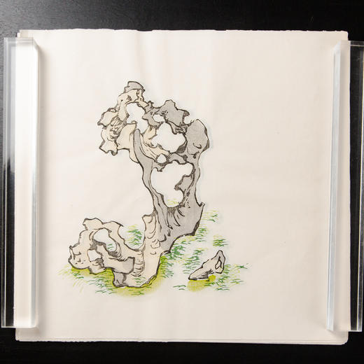 80年代木版水印十竹斋画谱单页 商品图9