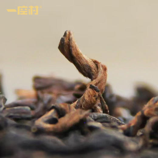 布朗醇熟茶小袋茶 8克*12袋/盒 商品图4