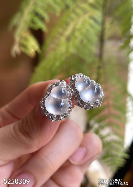 5250309，葫芦耳钉。具体价格微信咨询 商品图1
