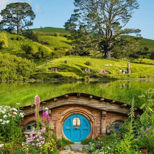 【新西兰】当地学校插班上课，入住寄宿家庭！探访霍比特人村、萤火虫洞看自然奇观！