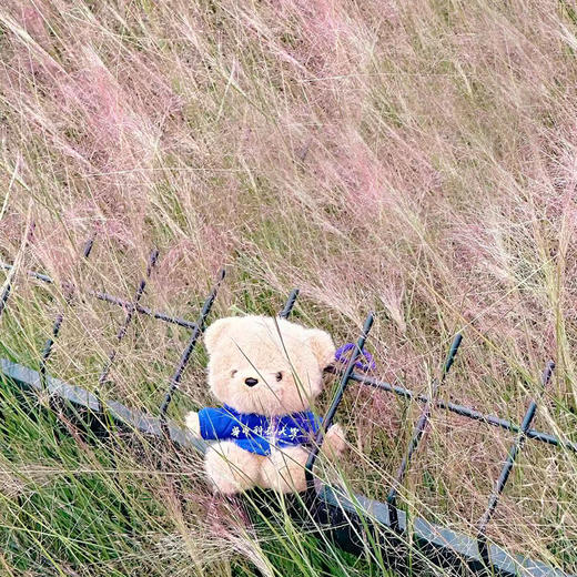 华科大毛绒卫衣纪念小熊 商品图1