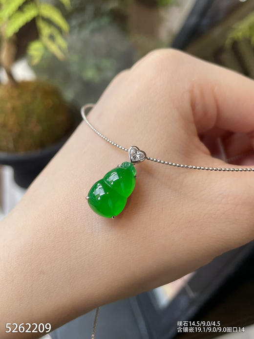 5262209，葫芦吊坠戒指两用款。具体价格微信咨询 商品图1