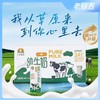 惊爆价 跑量推广！B老额吉3.4g蛋白纯牛奶利乐包200ml 保质期6个月/2月生产 商品缩略图2