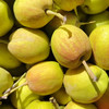 新疆库尔勒香梨 | 5斤/箱 脆甜多汁 皮薄肉厚 产地直发 应季水果 商品缩略图0
