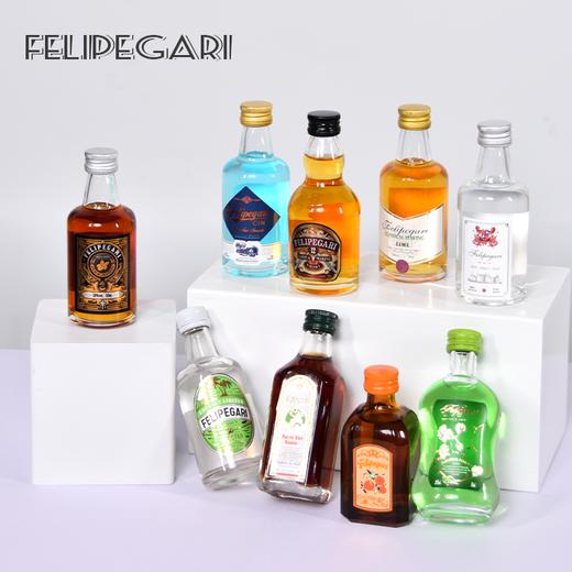 菲利佰加·白兰地威士忌伏特加网红洋酒小酒版8支组合套装 商品图3