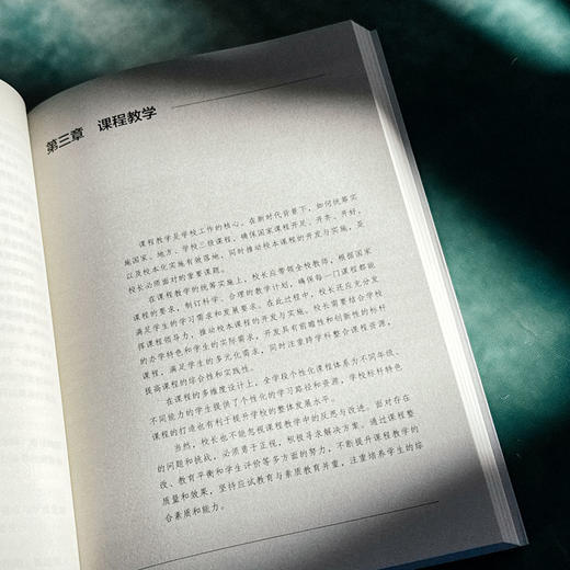 从0到1 新校长如何破茧成蝶 仇虹豪 新手校长100个问题答案之书 学校规划 教师干部管理 商品图10