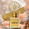 Angela Ciampagna安吉拉西帕纳 Virtus 维图斯淡香精EDP中性 商品缩略图0