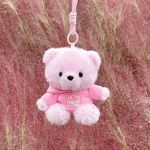 华科大毛绒卫衣纪念小熊 商品图2