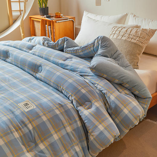 【品牌直发】加倍生活 A类无印风新疆棉花被 真棉花、带检测口 春秋被/冬被/加厚冬被 1.5m/2.0m/2.2m被芯 商品图2