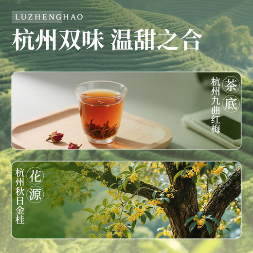 卢正浩杭州桂花红茶九曲红梅150g传统窨制纸包 商品图2