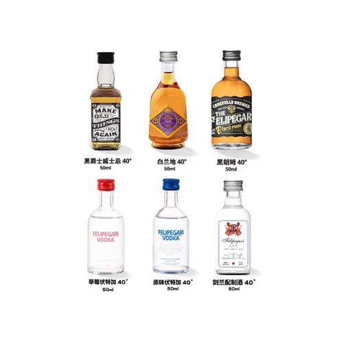 菲利佰加·白兰地威士忌伏特加网红洋酒小酒版6支组合套装 商品图0