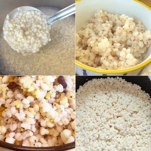 【食品】五谷杂粮高粱米养生粗粮白高粱500克 商品图2