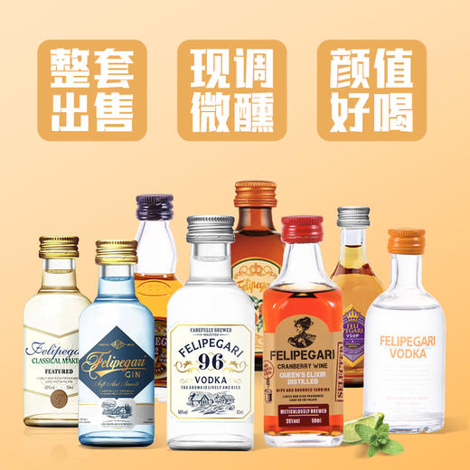 菲利佰加·白兰地威士忌伏特加网红洋酒小酒版8支组合套装 商品图1