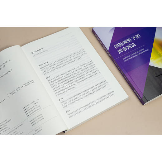 国际视野下的刑事判决 [德]迈克尔·布兰德 岳礼玲 郭烁主编 法律出版社 商品图4