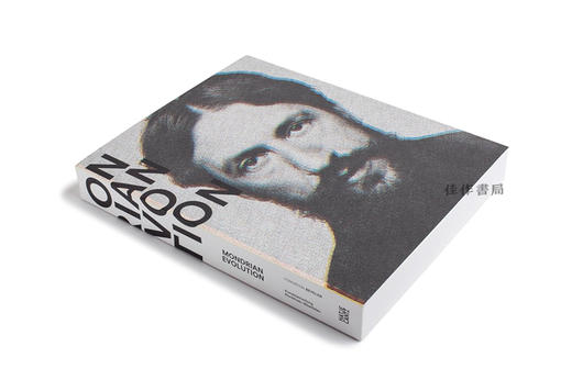 Mondrian Evolution / 蒙德里安的演进：从写实到纯粹的旅程 商品图1