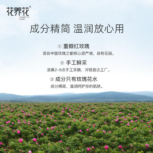 严选 | 花养花玫瑰鲜花液 500ml*2瓶 赠：喷瓶*1+压缩面膜*5 商品图1