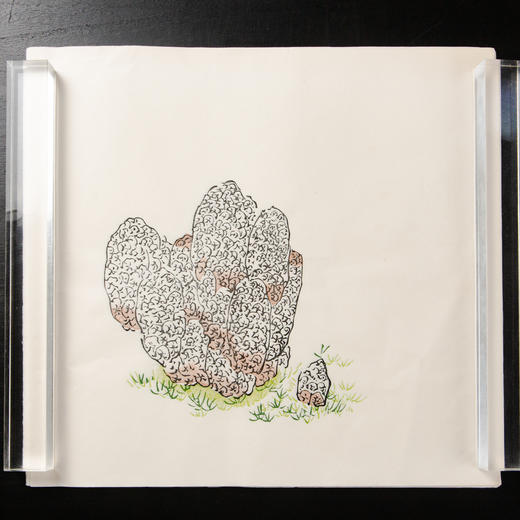 80年代木版水印十竹斋画谱单页 商品图7