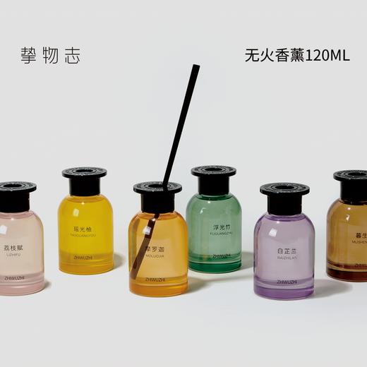 挚物志 无火香薰 120ml 商品图0