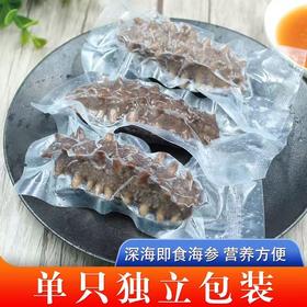 大海主义德仁堂兄妹海参海参8头