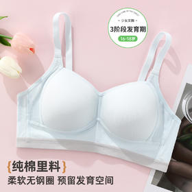 雅黛俪少女文胸高中生三阶段青春发育期女童内衣