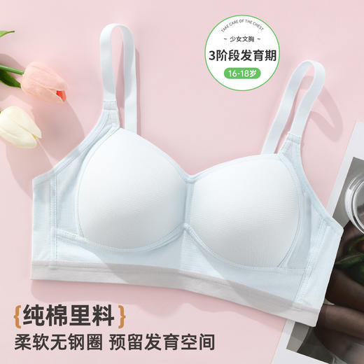 雅黛俪少女文胸高中生三阶段青春发育期女童内衣 商品图0